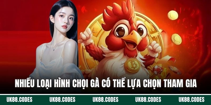 Nhiều loại hình chọi gà có thể lựa chọn tham gia