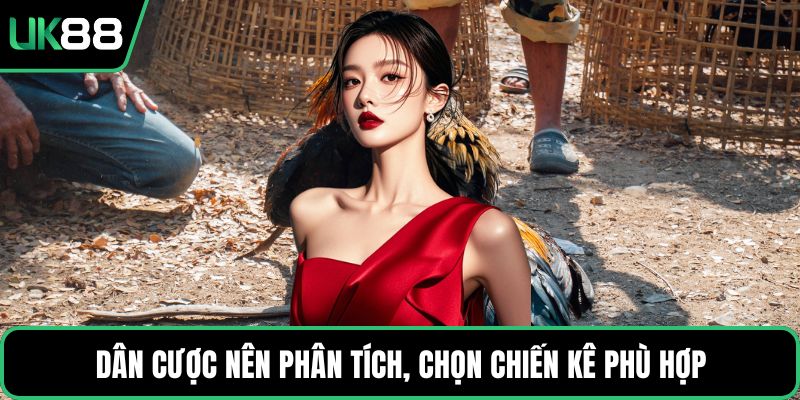 Dân cược nên phân tích, chọn chiến kê phù hợp