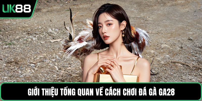 Giới thiệu tổng quan về cách chơi đá gà GA28
