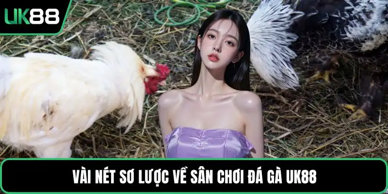Vài nét sơ lược về sân chơi đá gà UK88